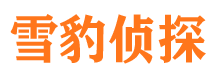 溆浦市婚外情调查